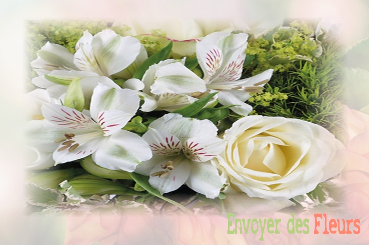 envoyer des fleurs à à PONTOISE-LES-NOYON